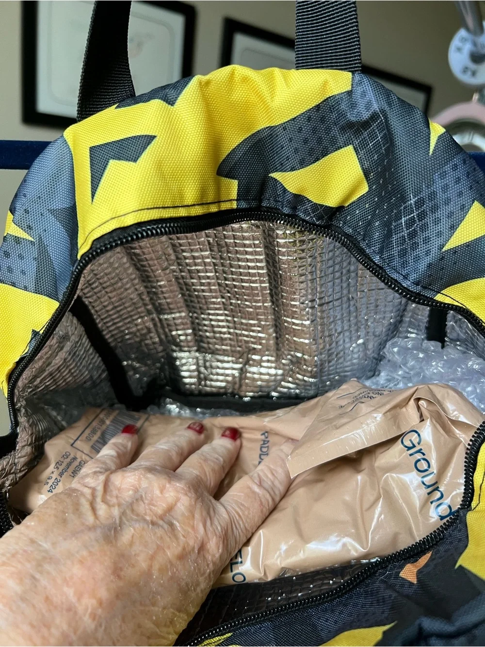 Pikachu New Graphic Insulated Lunch Bag